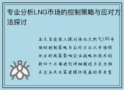 专业分析LNG市场的控制策略与应对方法探讨
