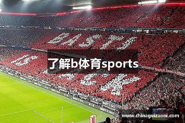 了解b体育sports